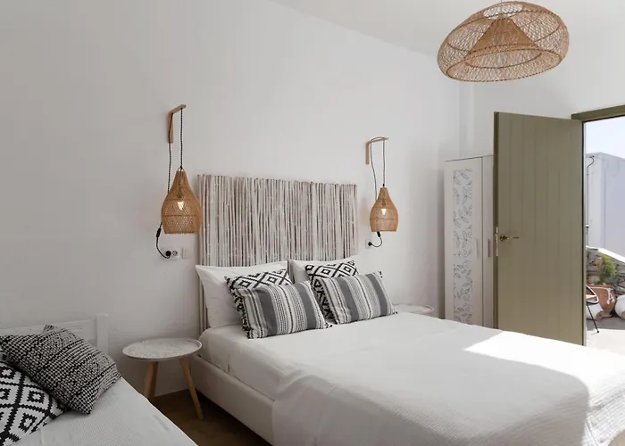 Апарт-отель Fiamegou Andros 4*