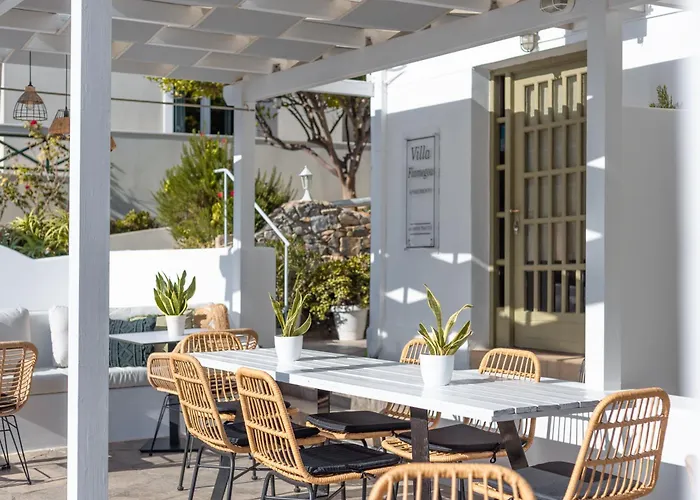 Fiamegou Andros 4* Батси