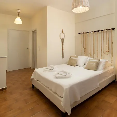 Fiamegou Andros 4* Mpatsi