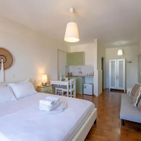 Appart hôtel Fiamegou Andros Batsi
